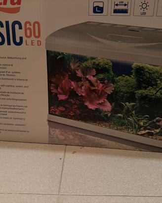 Acquario basic 60 led