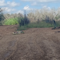 Vendita terreno agricolo