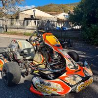 kart CRG motore TM KZ10