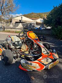 kart CRG motore TM KZ10