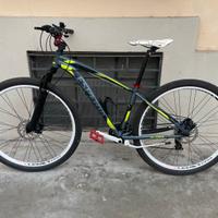 MTB ESPERIA ALASKA 29 MODIFICATA