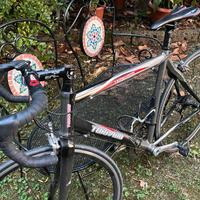 bici da corsa Torpado