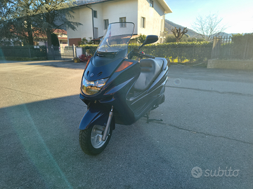 Splendido Yamaha Majesty YP 250 pari al nuovo