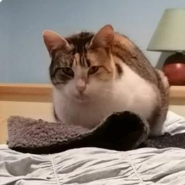Femmina 2 anni