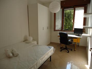 Appena liberata vicino all'università