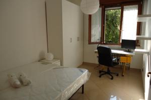 Appena liberata vicino all'università