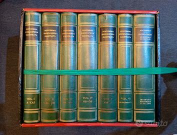 Enciclopedia illustrata Cofanetto