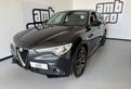 Alfa Romeo Stelvio 2.2 Turbodiesel 210 CV AT8 Q4 T