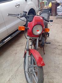 Gilera Altro modello - 1984