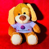 Peluche con maglietta personalizzata