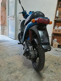 piaggio free wlaborato