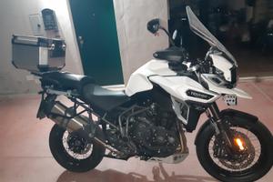 Triumph Explorer XCA 1215 - 2017