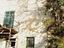 Immagine 18