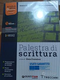 libro Palestra di scrittura