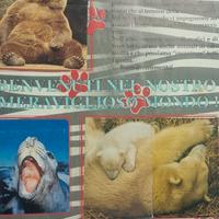 album completo Il mondo degli animali