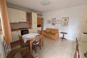 Appartamento Pineta Centrale