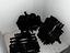 Immagine 5