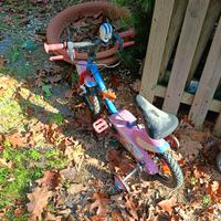 Bicicletta bambino raggio 14