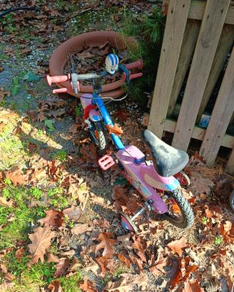 Bicicletta bambino raggio 14