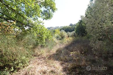 TER. AGRICOLO A POGGIO NATIVO