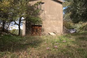 Terreno agricolo più immobile