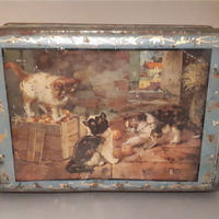 latta dolci biscotti vintage gatti antica anni 40