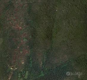 Terreno Agricolo - Campo nell'Elba