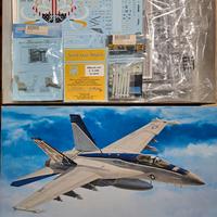 Kit modellismo F/A-18E Hasegawa + afterm. 1:48