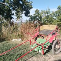 Calesse per pony/asino