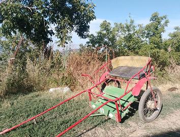 Calesse per pony/asino