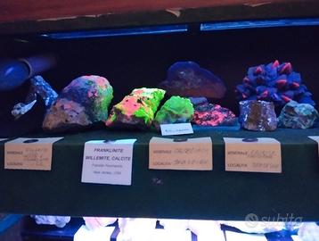 bacheca  minerali fluorescenti onda corta, lunga