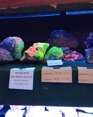 bacheca  minerali fluorescenti onda corta, lunga
