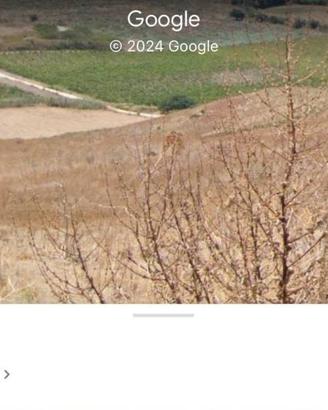 Terreno di 160000 m² a Menfi