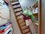 Immagine 12