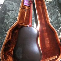 Chitarra semiacustica Morris Tornado