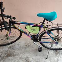 City Bike Retrò usata