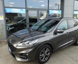 Ford Kuga ST-Line 1.5 EcoBlue 120 CV 2WD