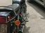 Immagine 2