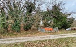 RGE 81/2024 Trib Urbino - LOTTO 2