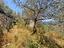 Immagine 25