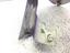 Immagine 10