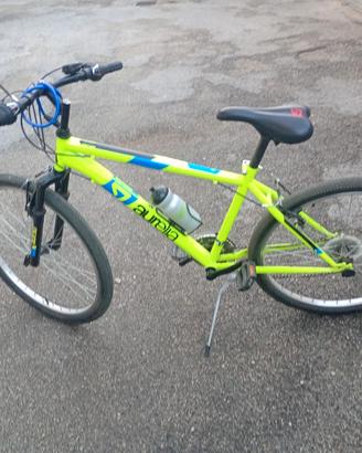 bicicletta aurelia 