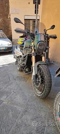 Benelli leoncino 800 trail 