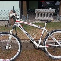 bici botecchia taglia 44