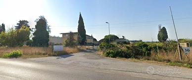 Immobile in asta di 7600 m² a Crespina e Lorenzana
