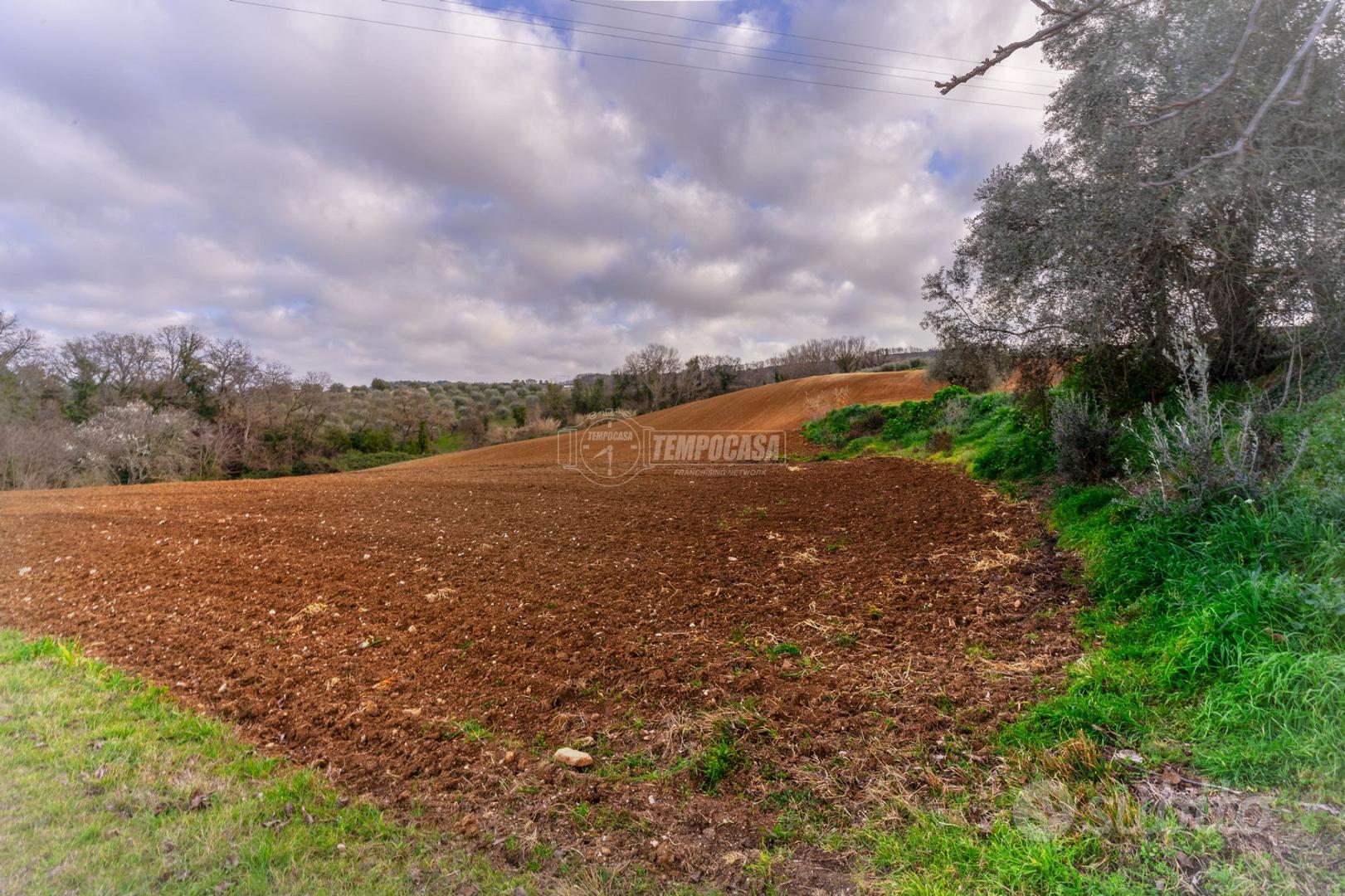 Terreno agricolo a Civitanova Marche 1 locali - Vista 2