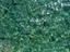 Immagine 13
