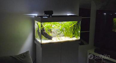 Acquario Juwel RIO 125 con mobile - Ottime 