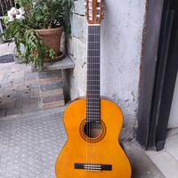 Chitarra Yamaha C40 