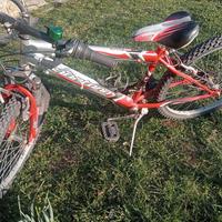 bicicletta da ragazza/o